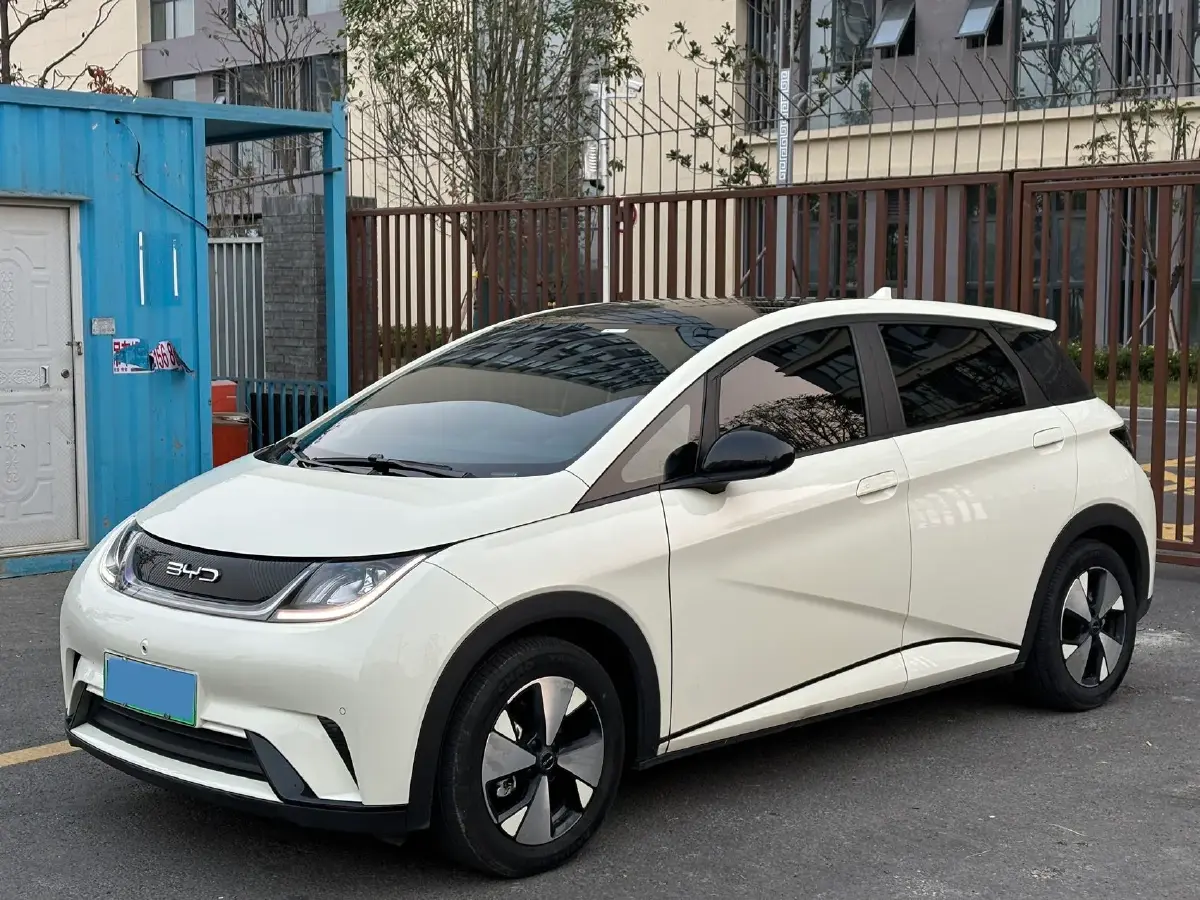 2023 BYD Dolphin BEV 44.928KWH