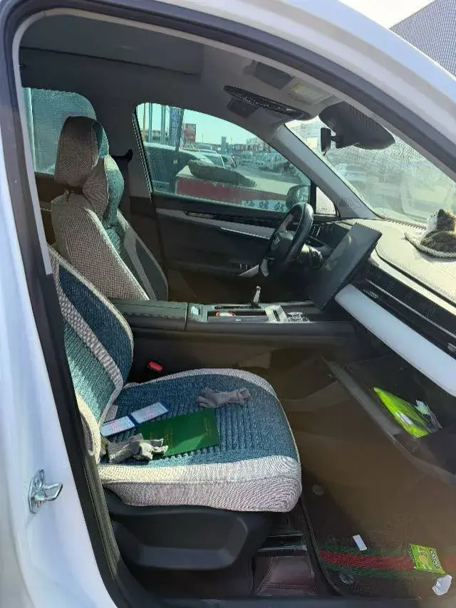 2024 GEELY STARRAY thumbnail 3