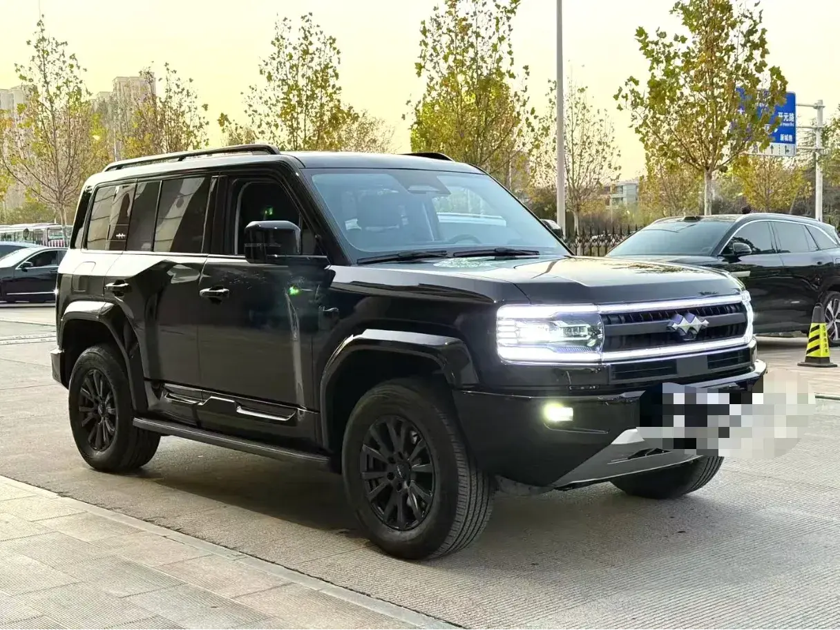 2025 FANGCHENGBAO BAO thumbnail 3