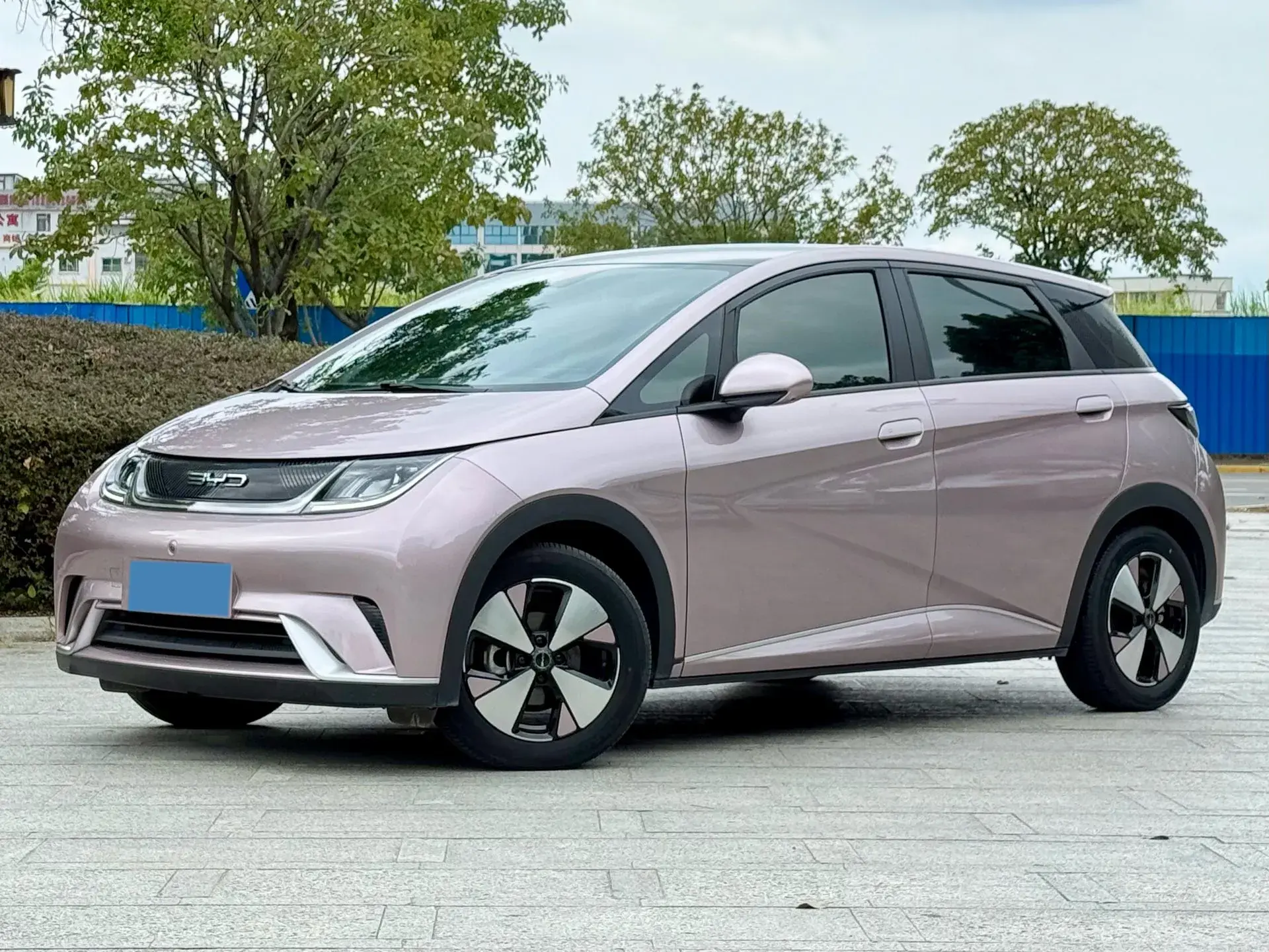 2023 BYD DOLPHIN view 1