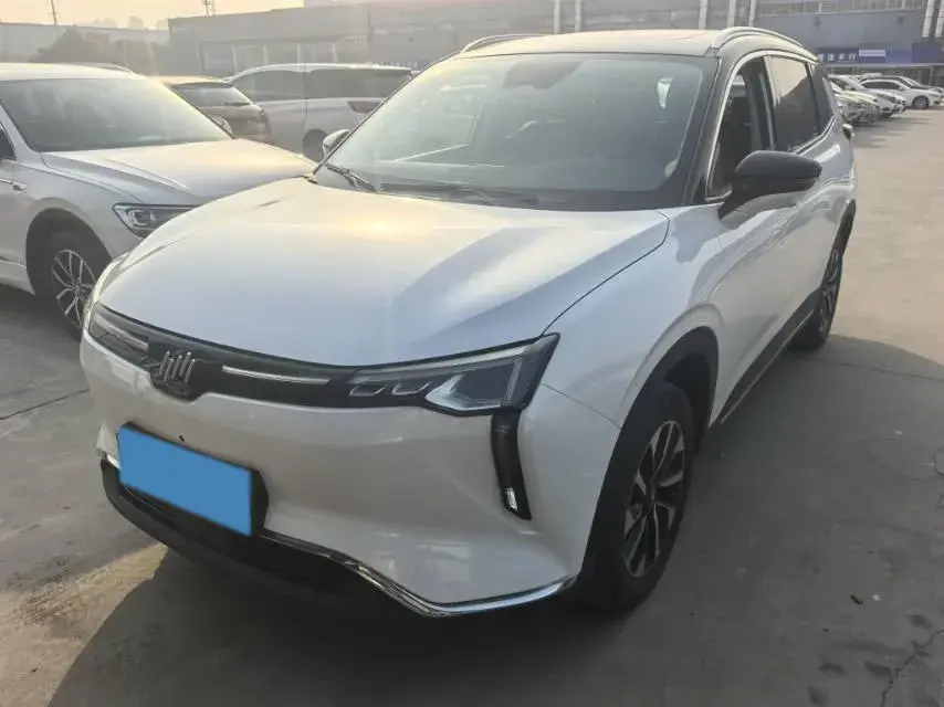 2021 Weltmeister W6 BEV 66.231KWH