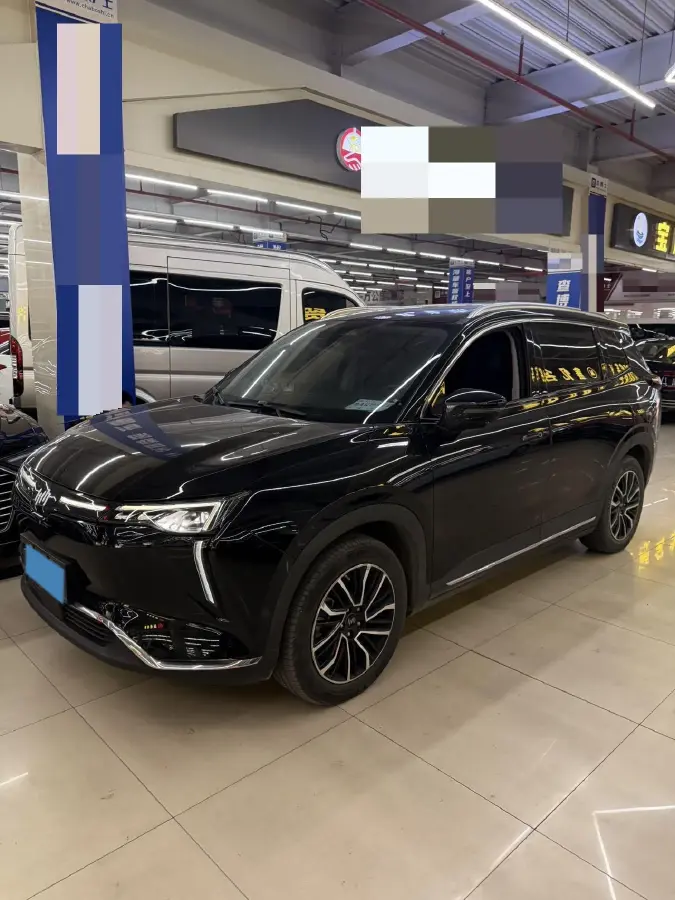 2021 Weltmeister W6 BEV 66.231KWH