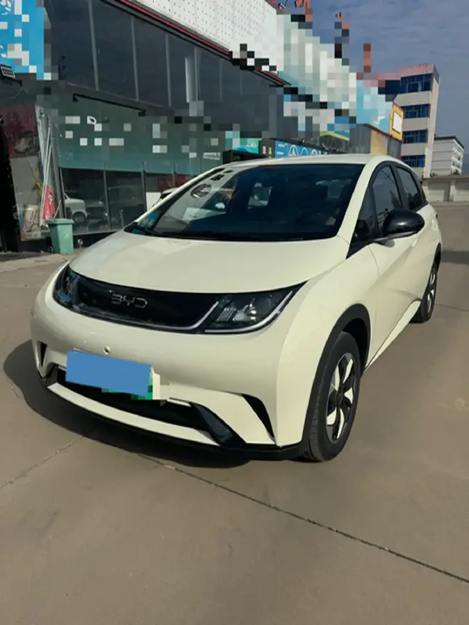 2025 BYD Dolphin BEV 44.928KWH