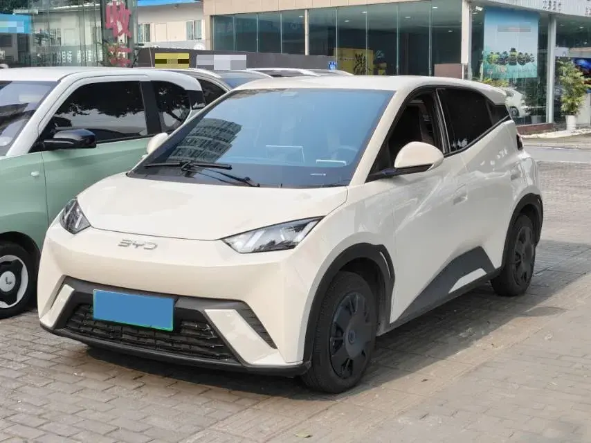 2024 BYD SEAGULL view 1