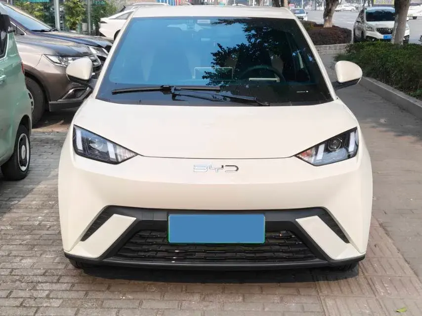 2024 BYD SEAGULL thumbnail 2