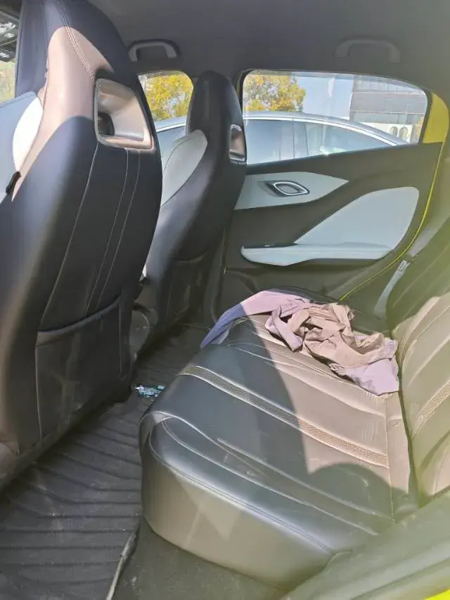 2023 BYD SEAGULL thumbnail 4