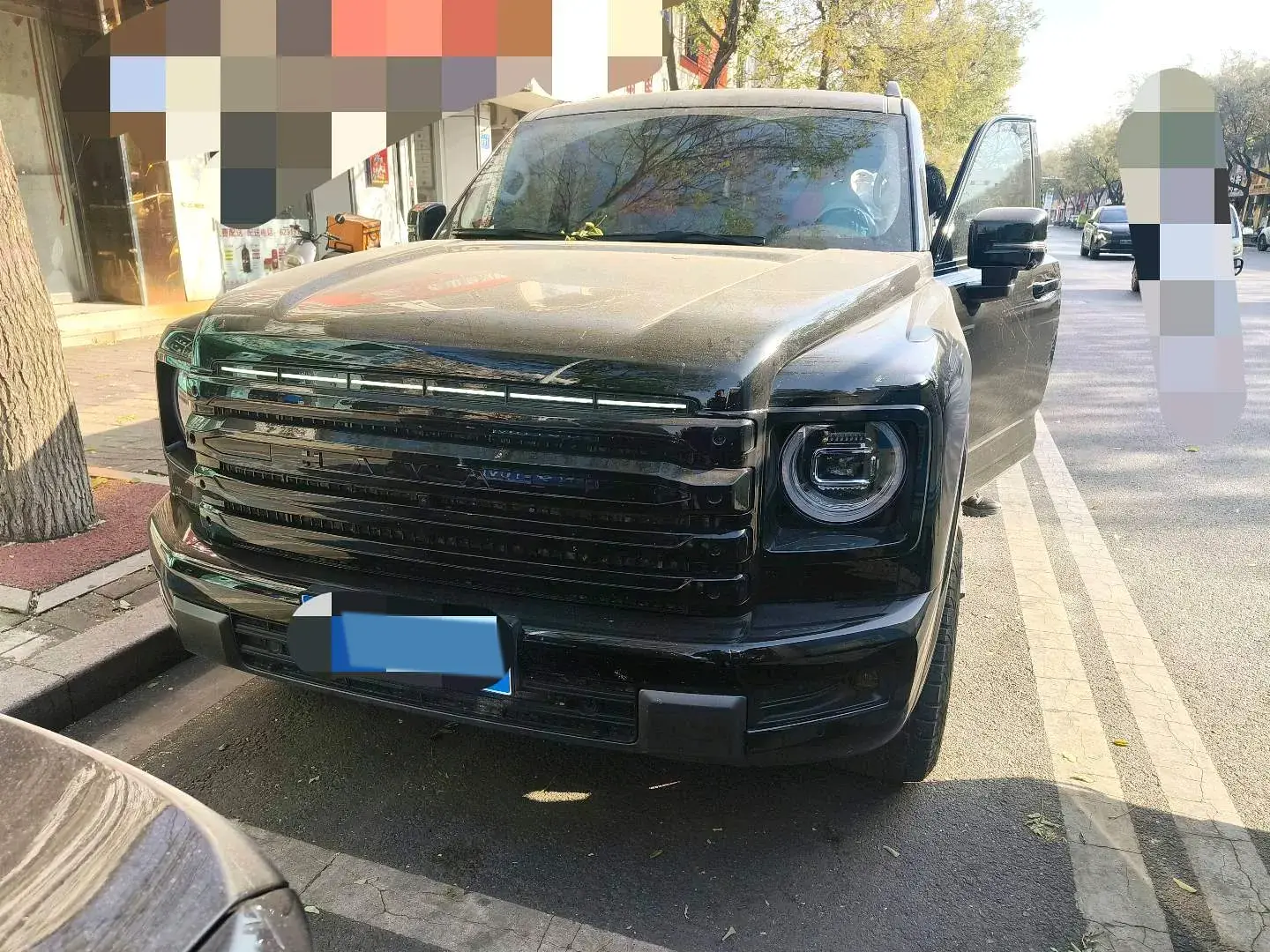 2024 HAVAL H9 thumbnail 2