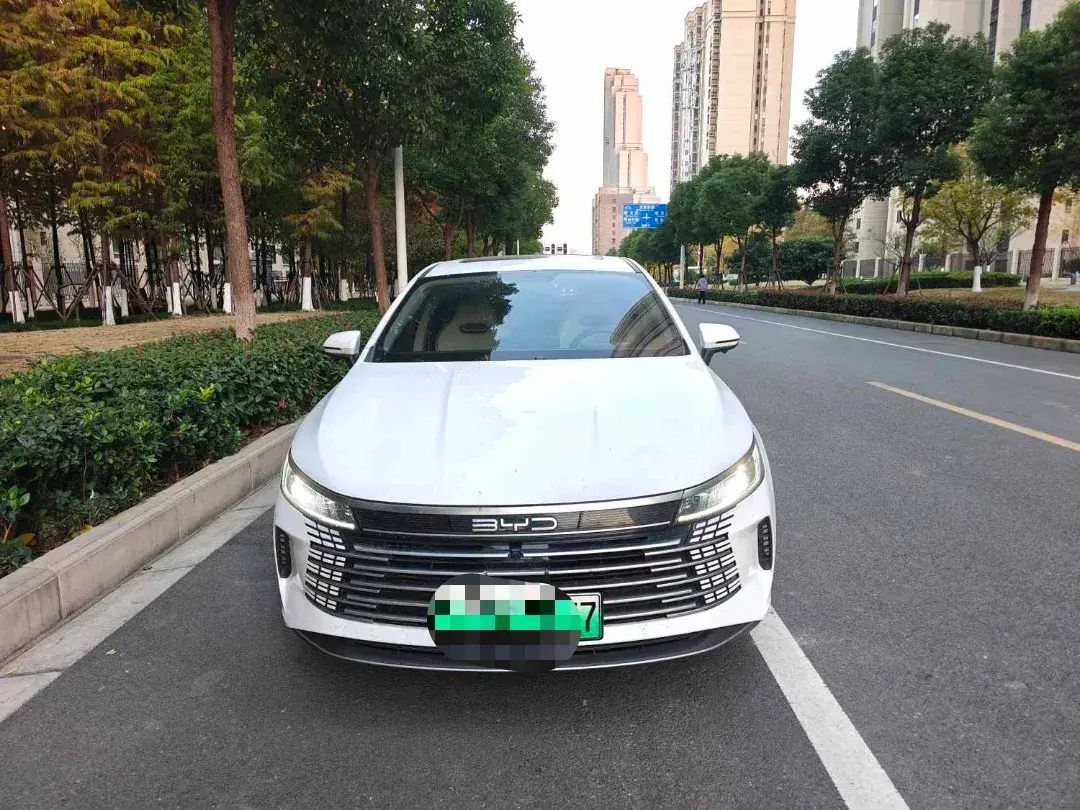 2024 BYD DESTROYER thumbnail 3