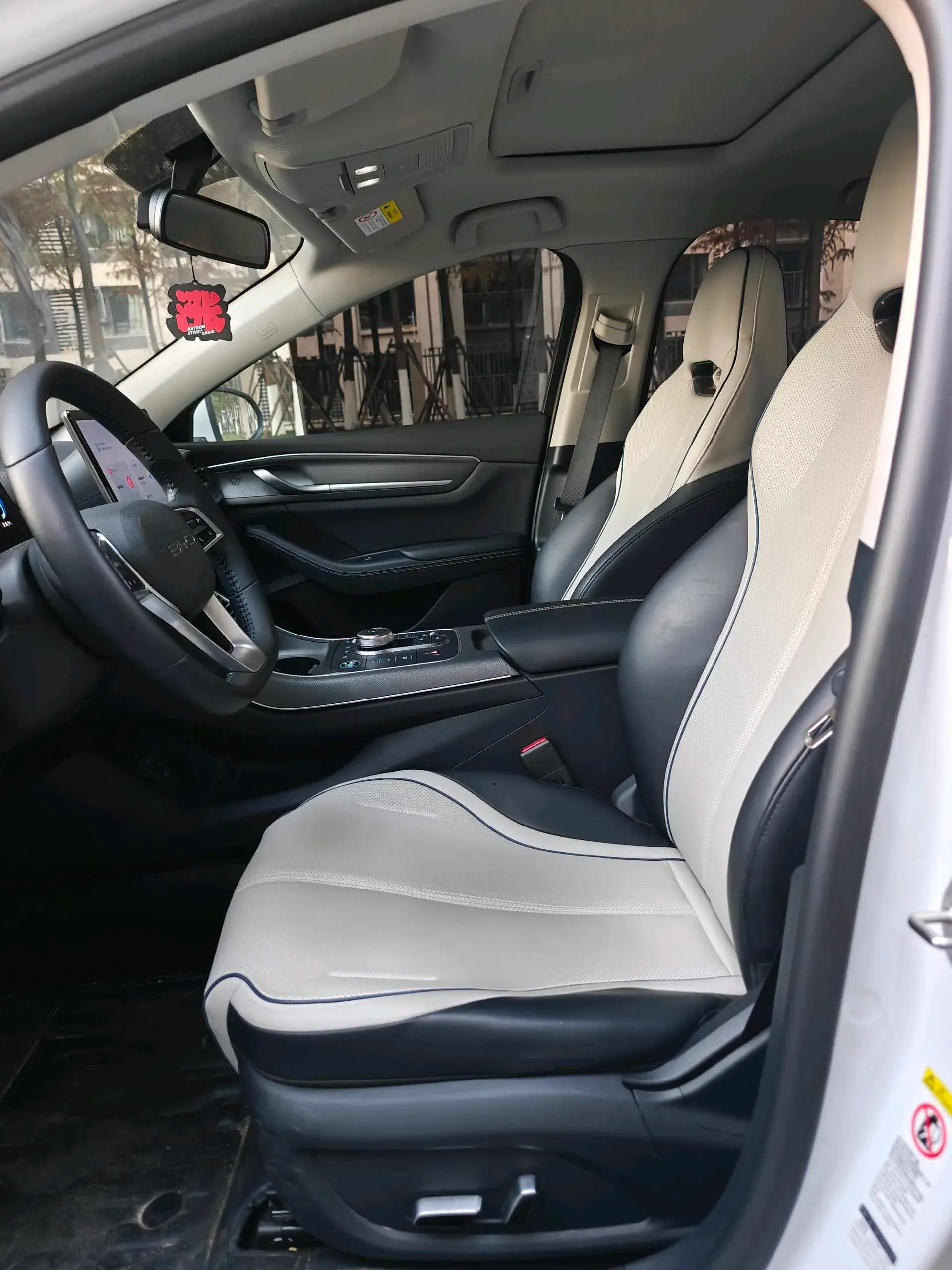 2024 BYD DESTROYER thumbnail 2