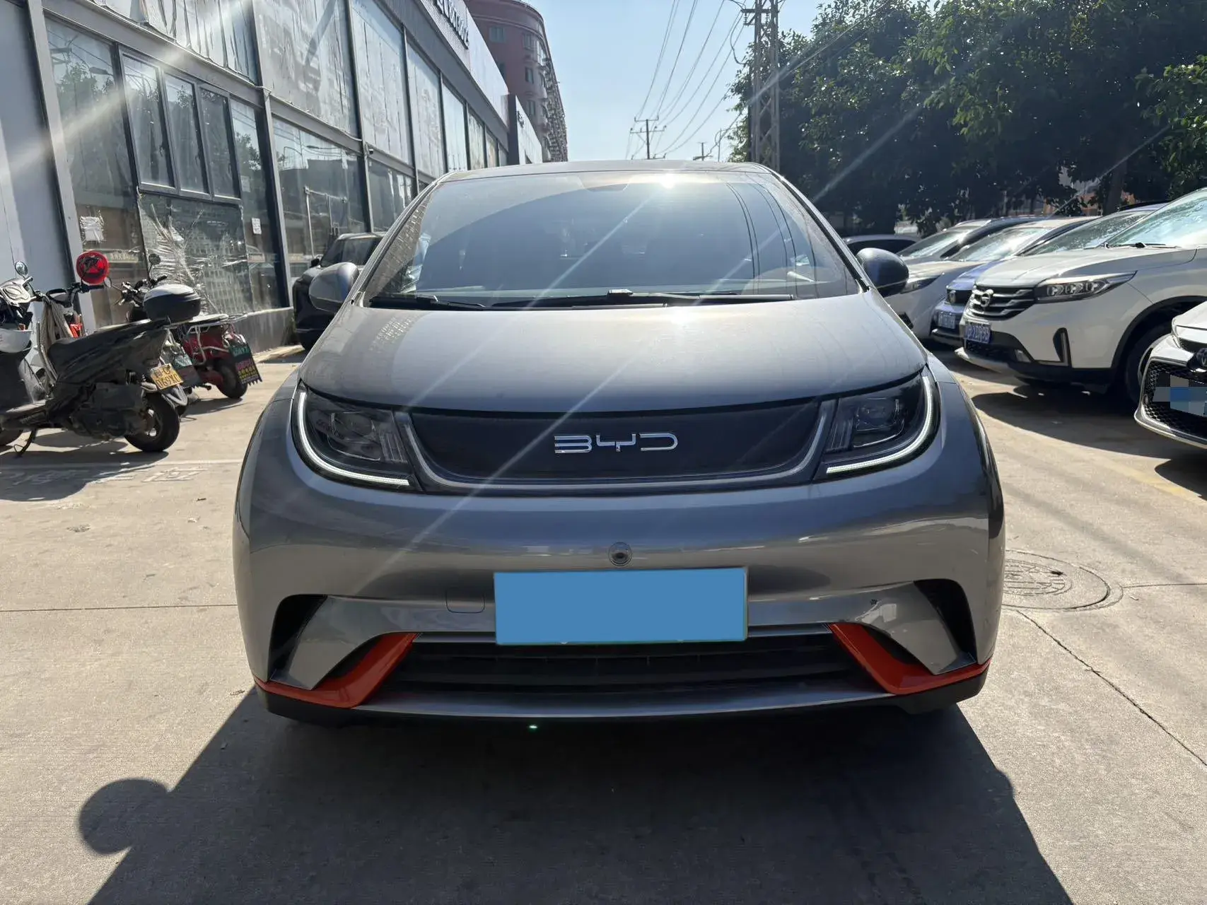 2021 BYD DOLPHIN thumbnail 2