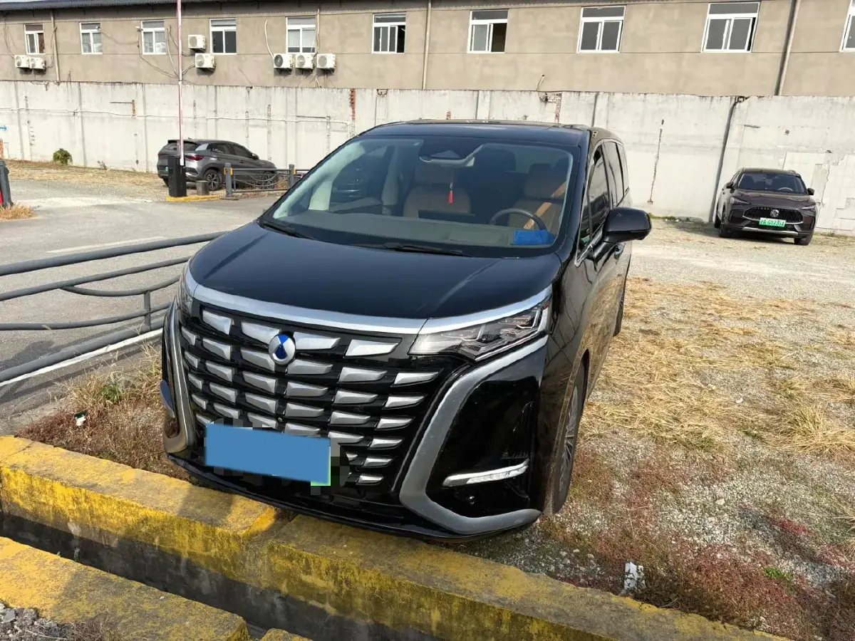 2022 Denza D9 1.5T 139HP L4 E-CVT PHEV 40.06KWH
