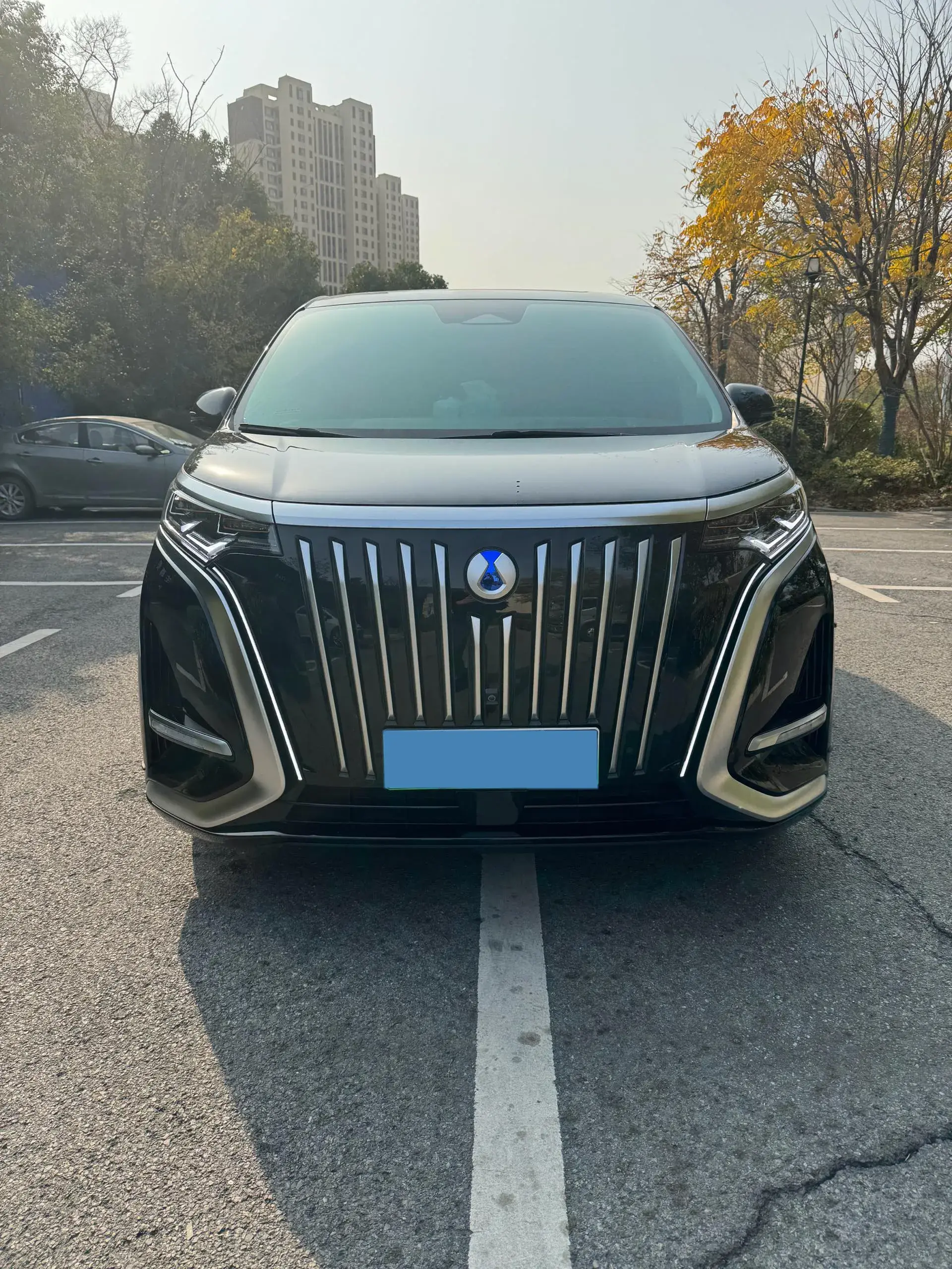 2022 DENZA D9 thumbnail 2