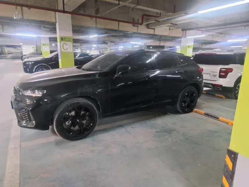 2019 WEY VV7 thumbnail 2