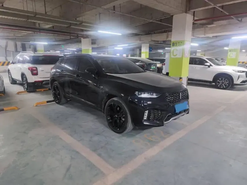 2019 WEY VV7 thumbnail 3