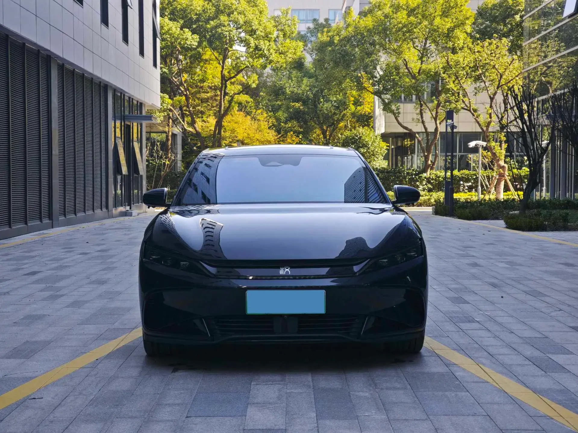 2022 BYD HAN thumbnail 2