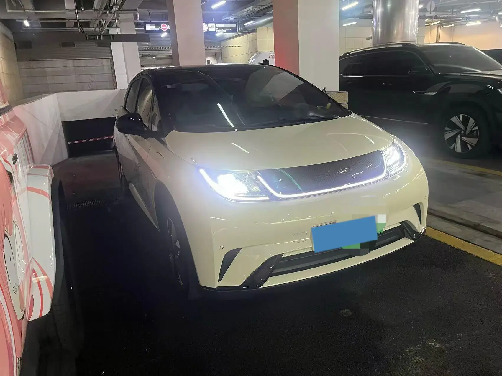 2023 BYD DOLPHIN thumbnail 2