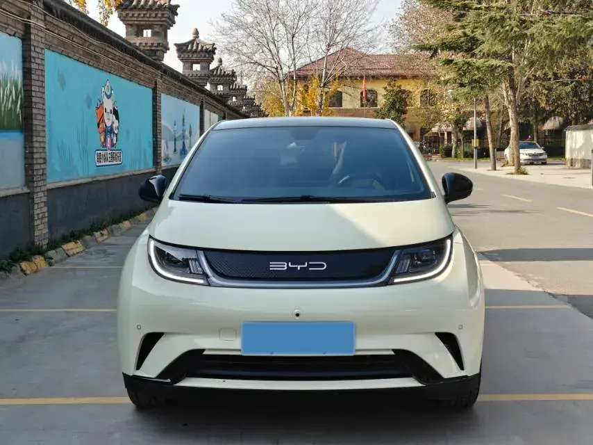 2023 BYD DOLPHIN thumbnail 2