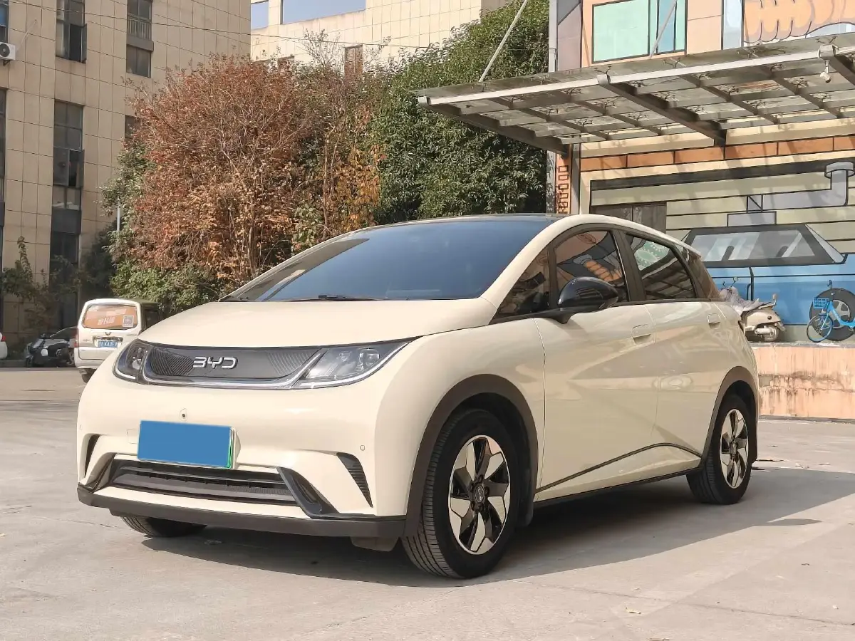 2024 BYD Dolphin BEV 44.928KWH