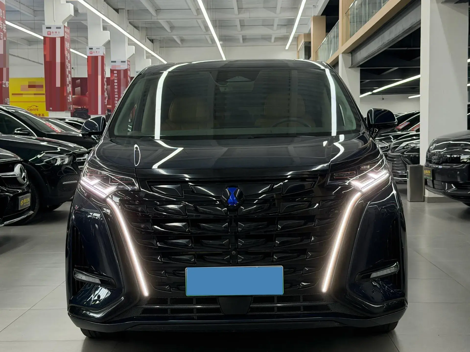 2022 DENZA D9 thumbnail 2