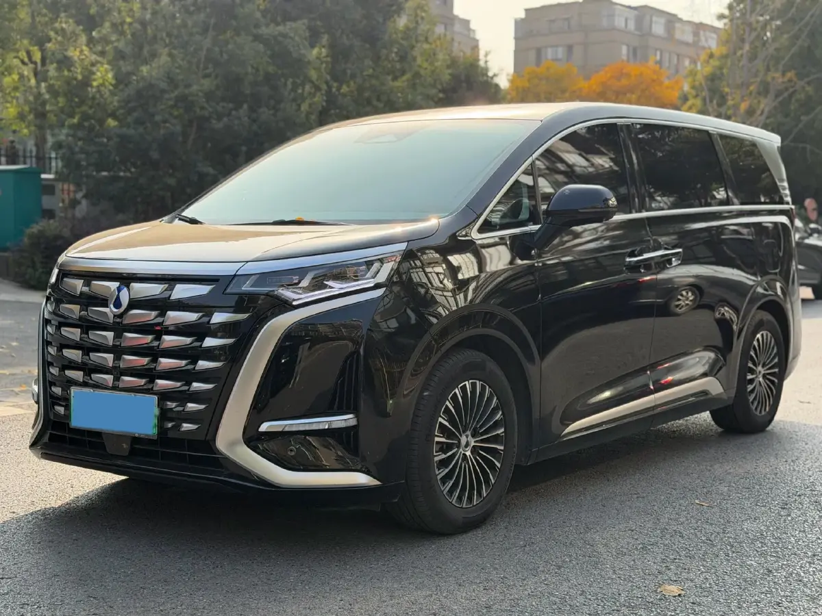 2023 Denza D9 1.5T 139HP L4 E-CVT PHEV 20.39KWH
