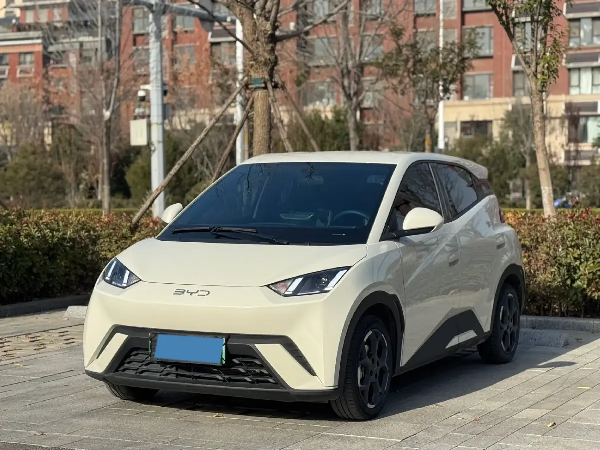 2025 BYD Seagull BEV 30.08KWH