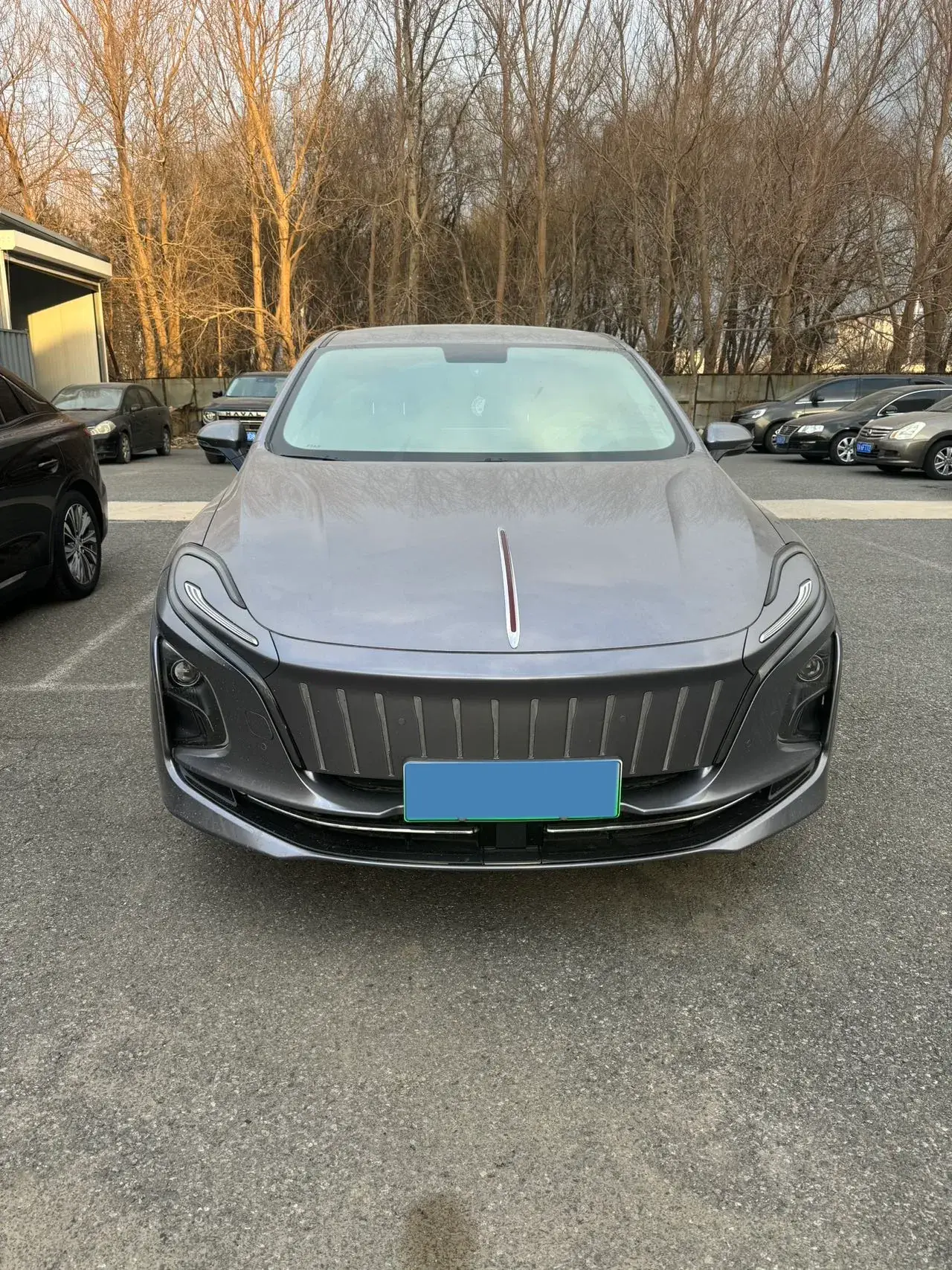 2024 HONGQI E-QM5 thumbnail 3