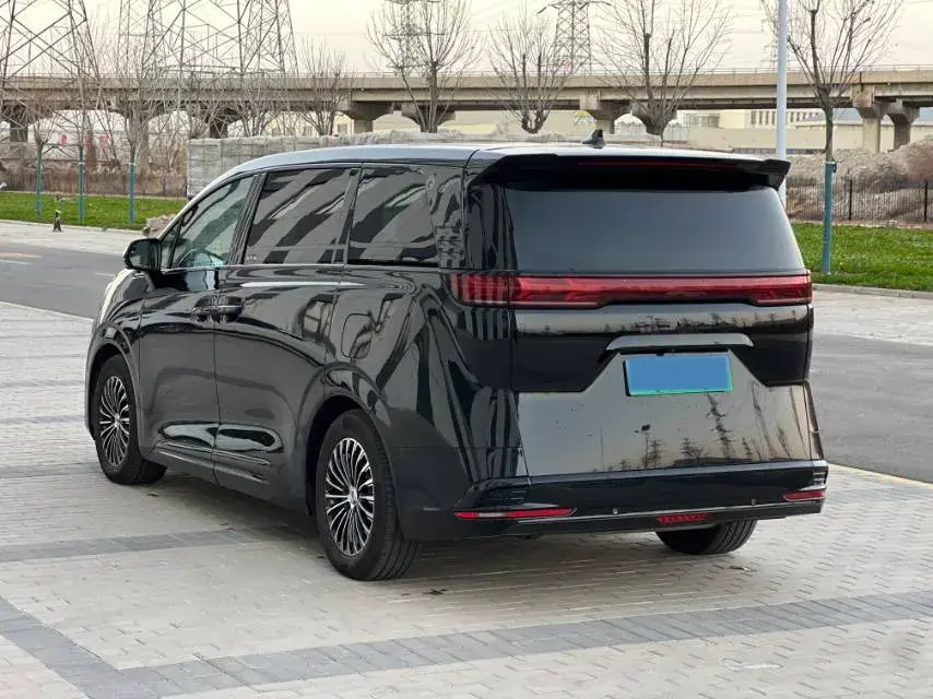 2022 DENZA D9 thumbnail 4