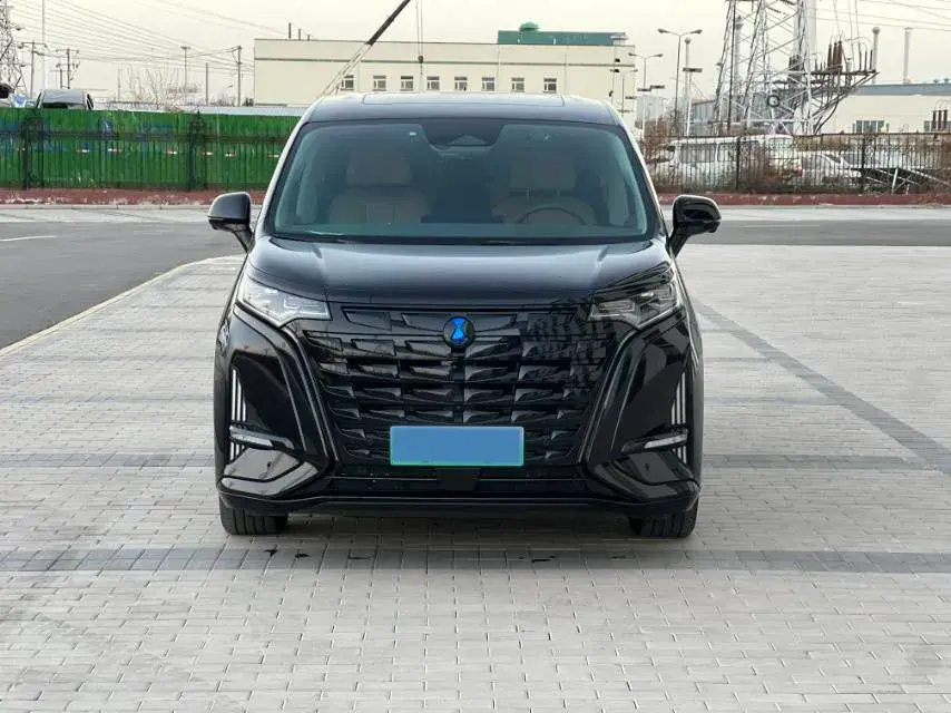 2022 DENZA D9 thumbnail 2