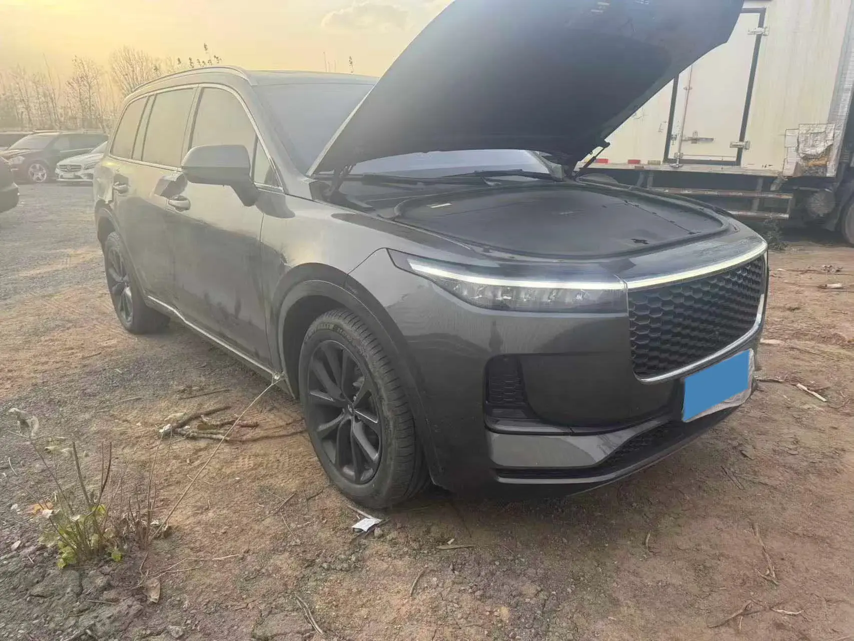 2021 LI ONE thumbnail 2