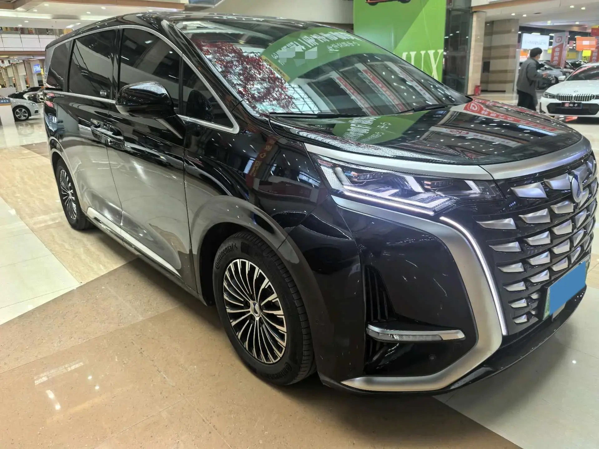 2024 DENZA D9 thumbnail 2