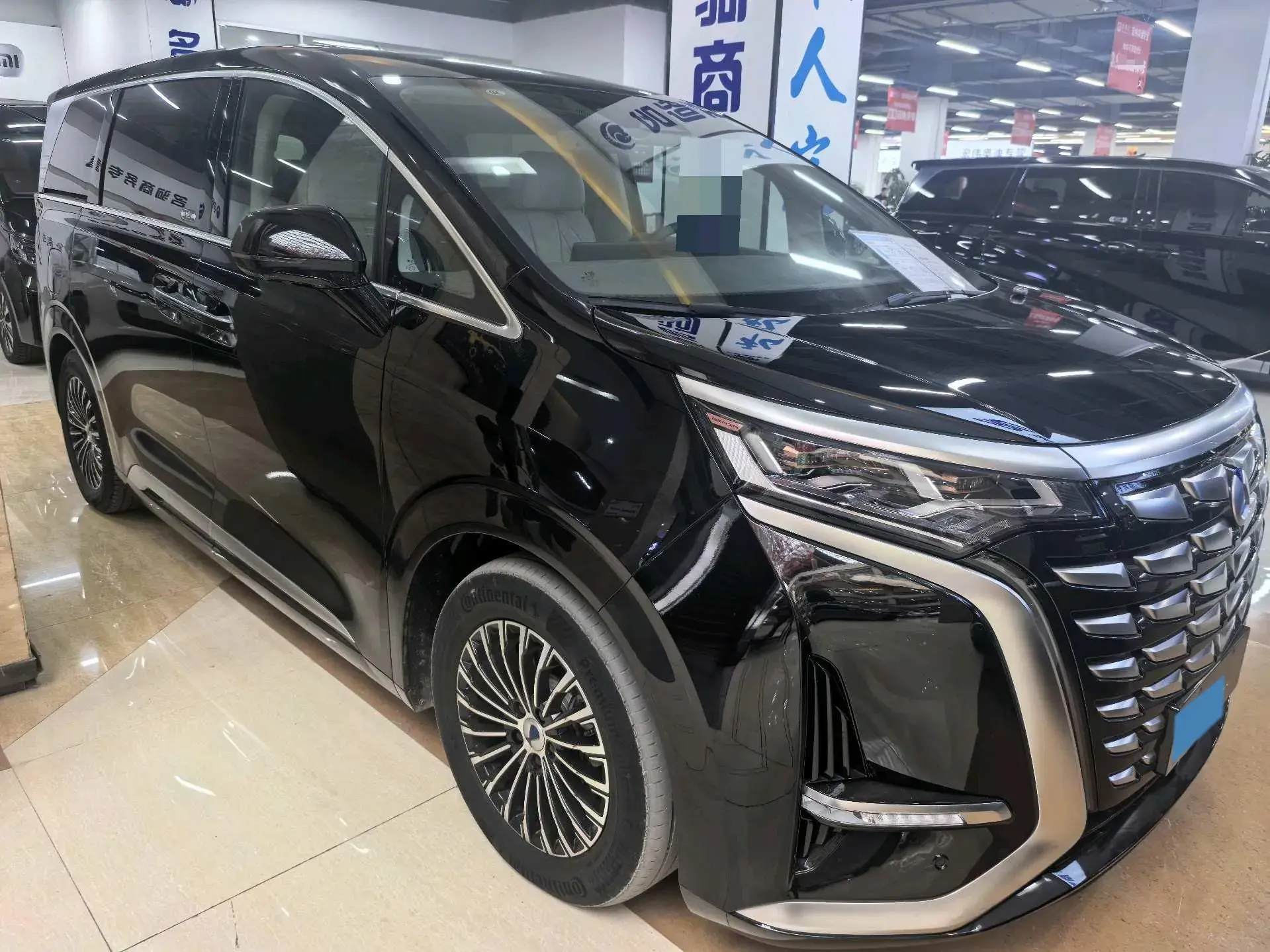 2022 DENZA D9 thumbnail 2