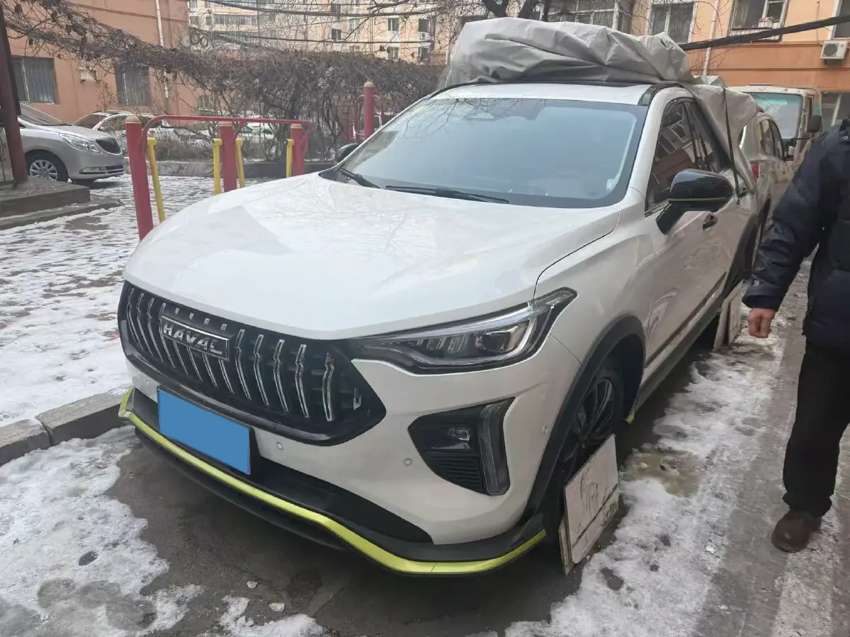 2021 Haval Rabbit 1.5T 184HP L4 7DCT