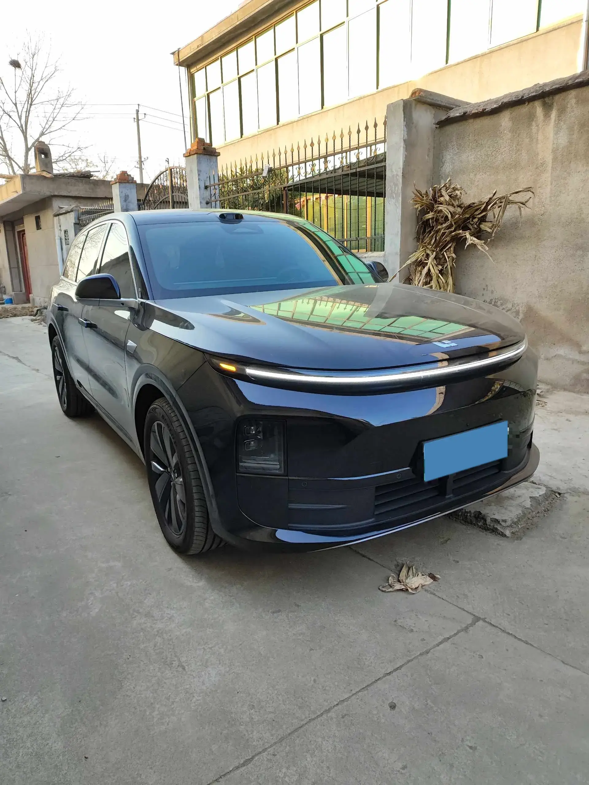 2025 LI L6 thumbnail 3