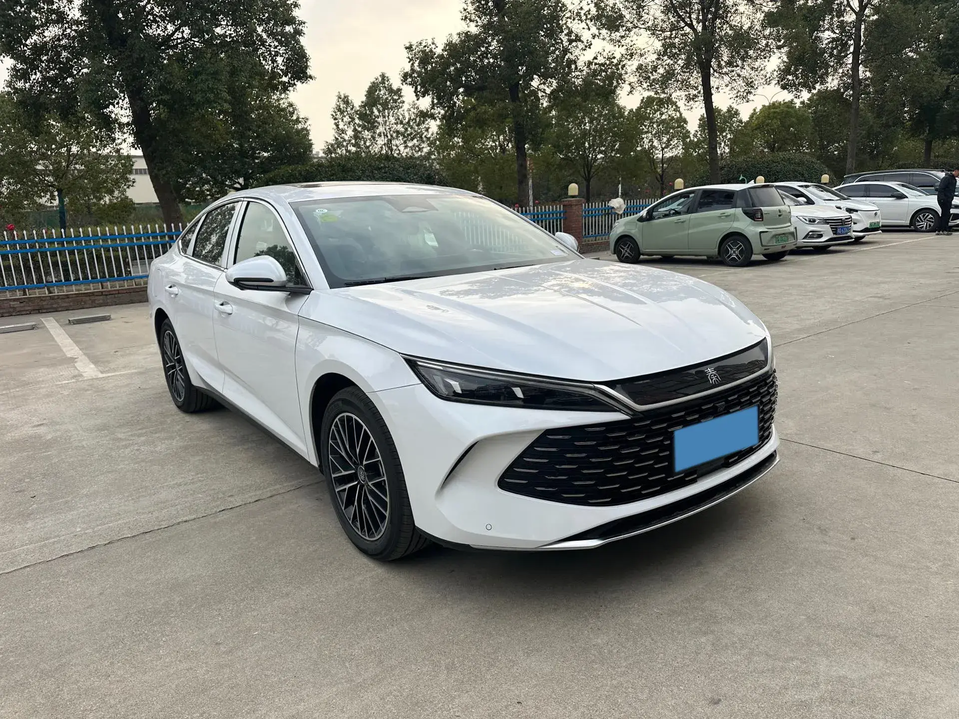 2024 BYD QINL thumbnail 3