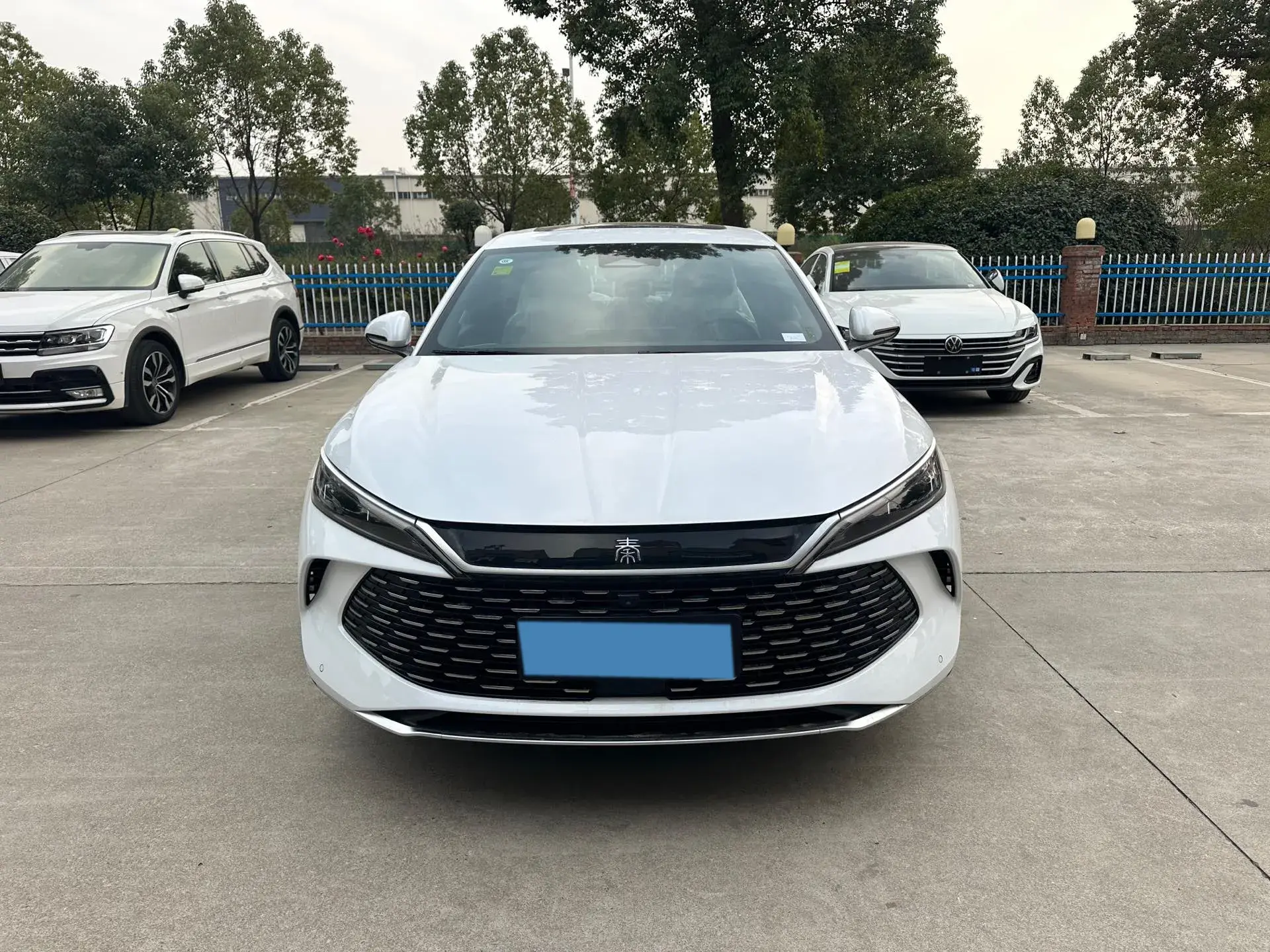 2024 BYD QINL thumbnail 2