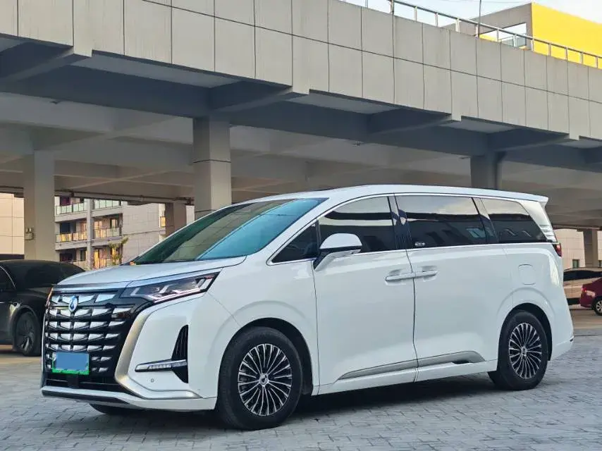 2022 DENZA D9 view 1