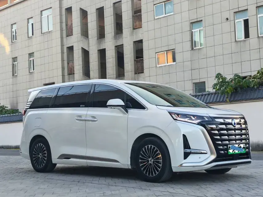 2022 DENZA D9 thumbnail 2