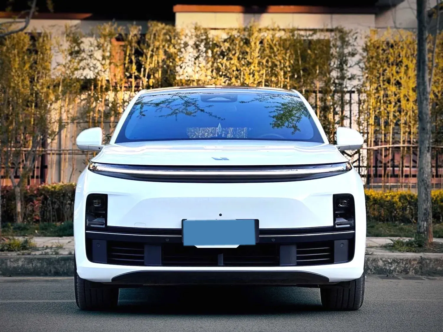 2023 LI L7 thumbnail 2