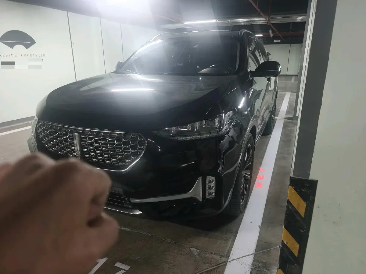 2021 WEY VV6 2.0T 227HP L4 7DCT