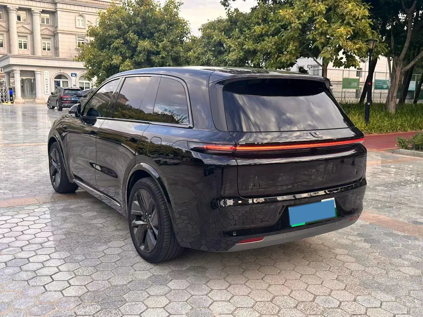 2024 LI L8 thumbnail 4