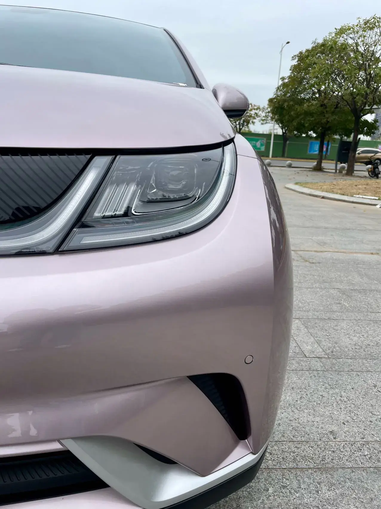 2023 BYD DOLPHIN thumbnail 4