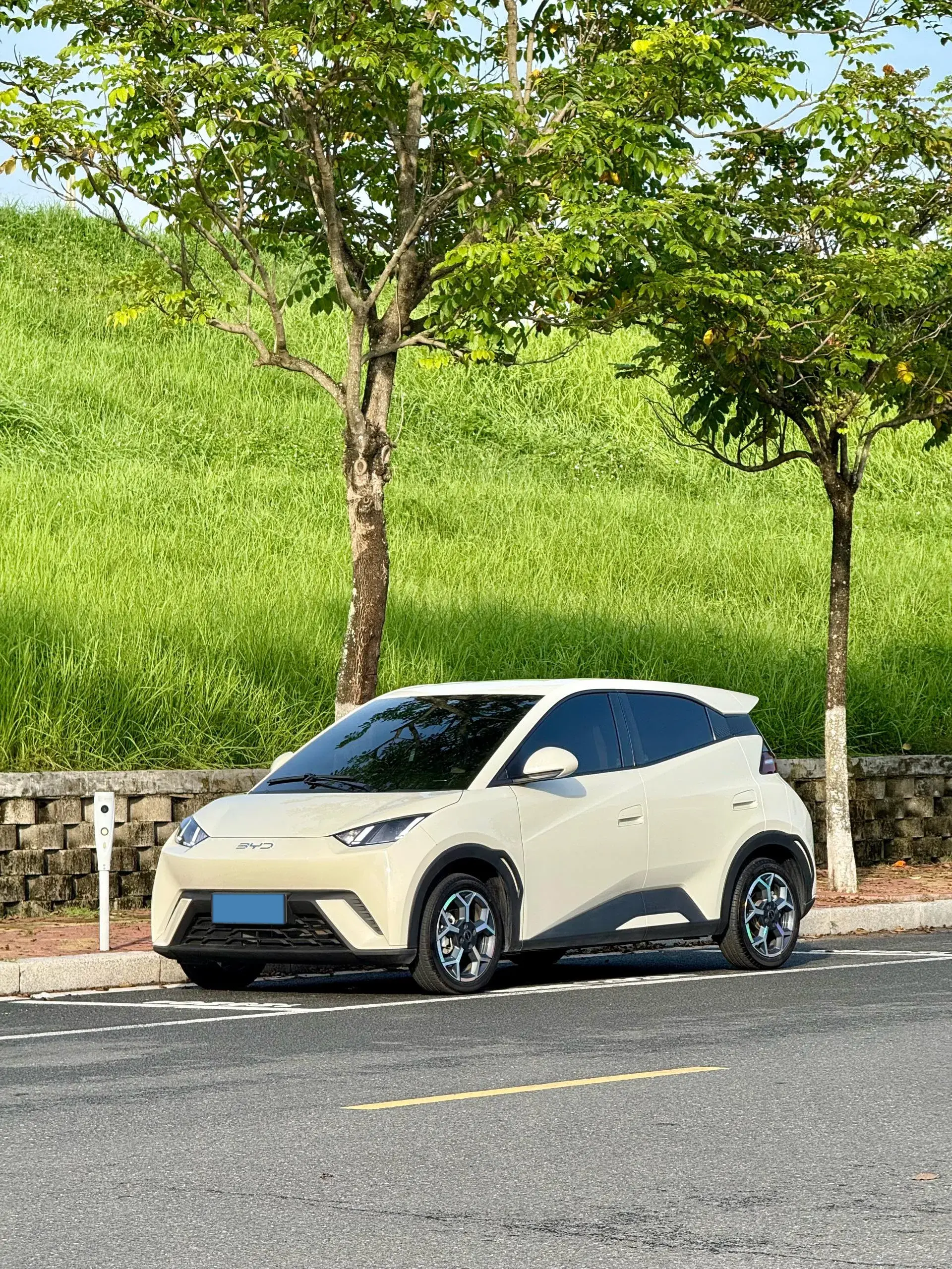 2025 BYD SEAGULL view 1