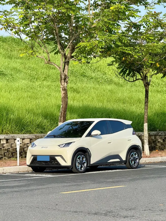 2025 BYD Seagull BEV 30.08KWH