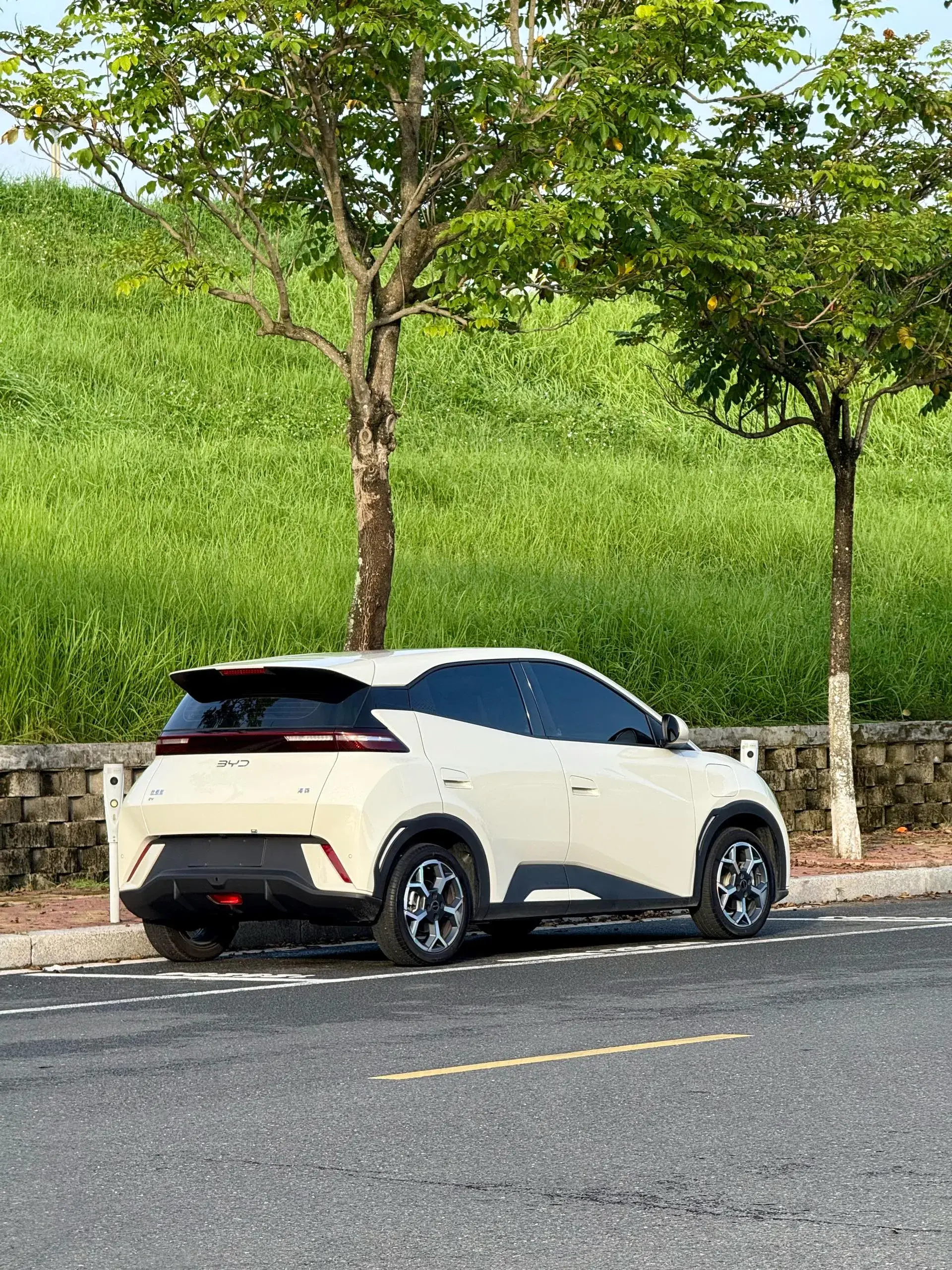 2025 BYD SEAGULL thumbnail 3