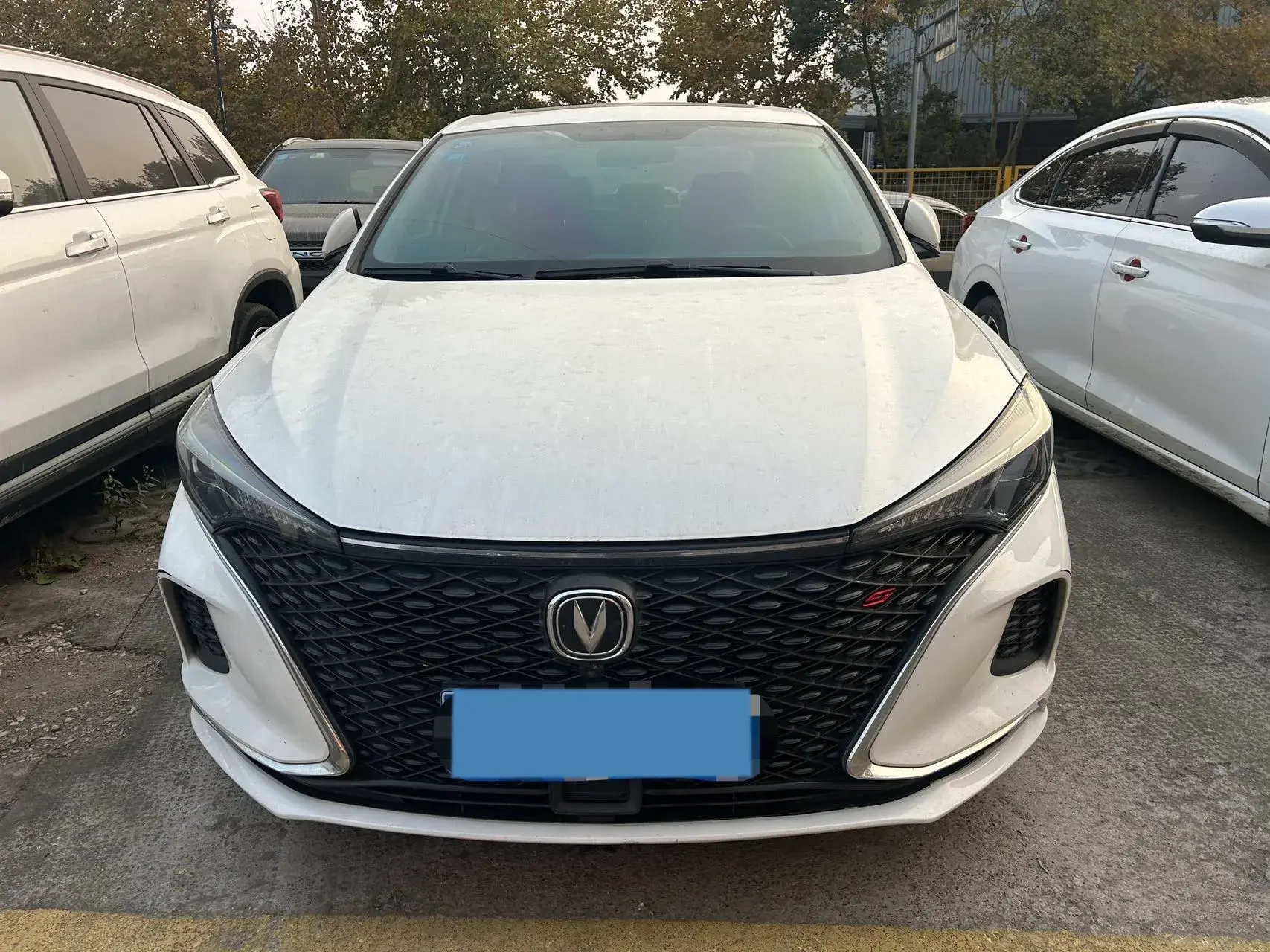 2020 CHANGAN EADO thumbnail 2
