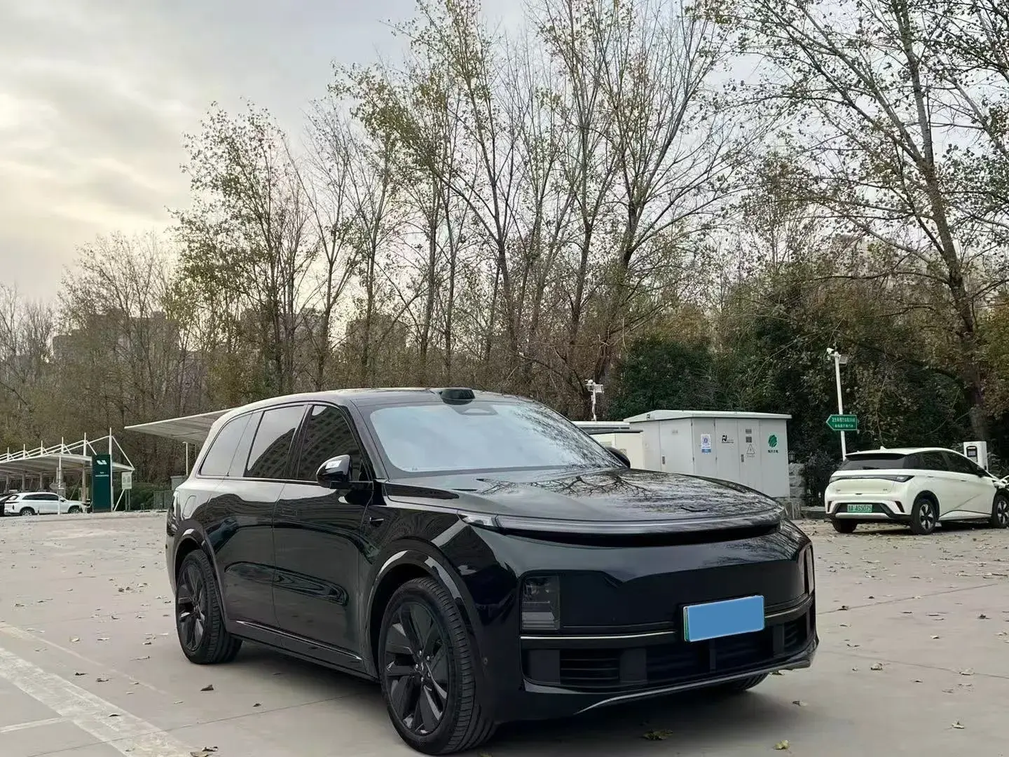 2024 LI L9 thumbnail 3