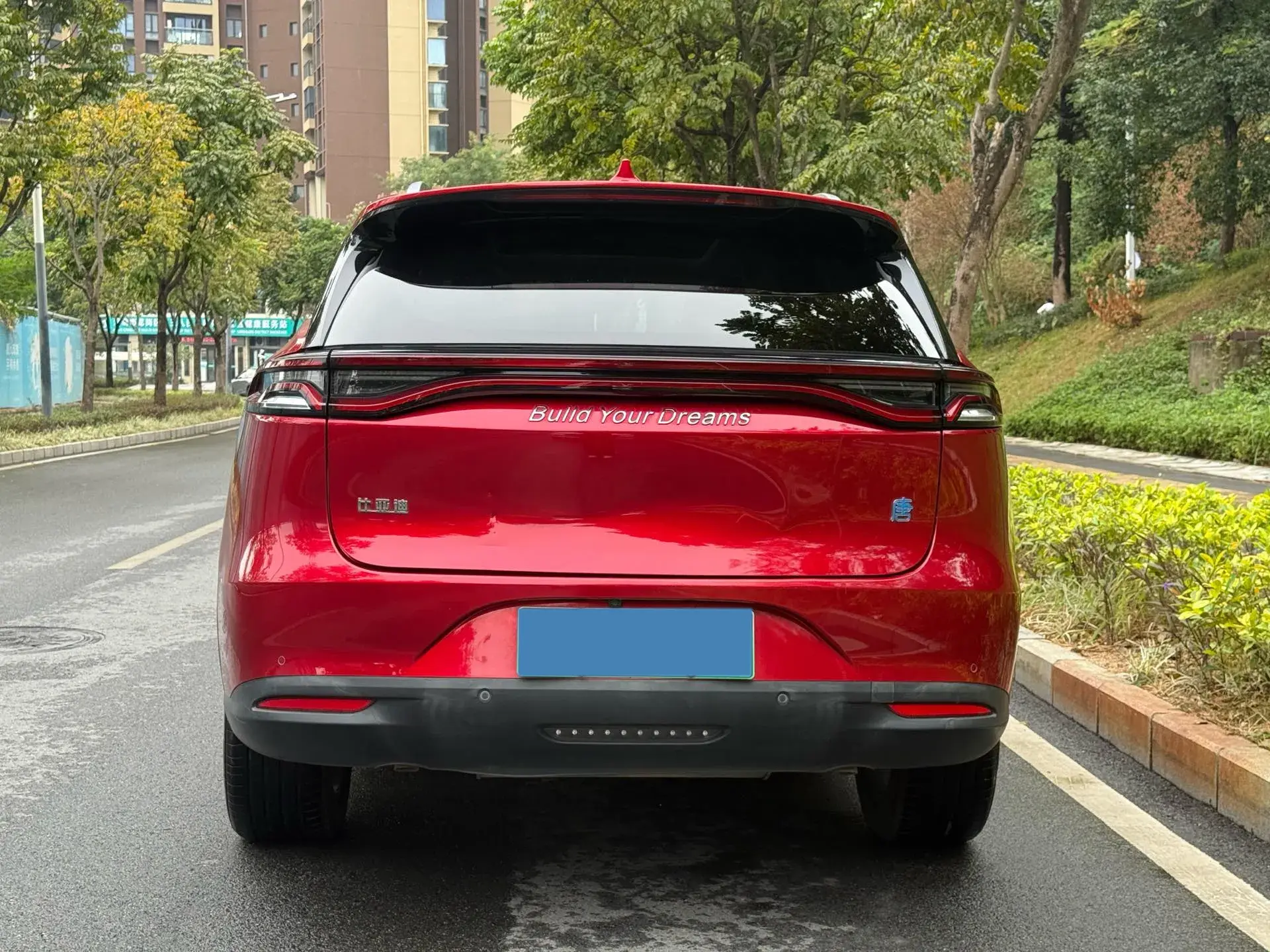 2020 BYD TANG thumbnail 4