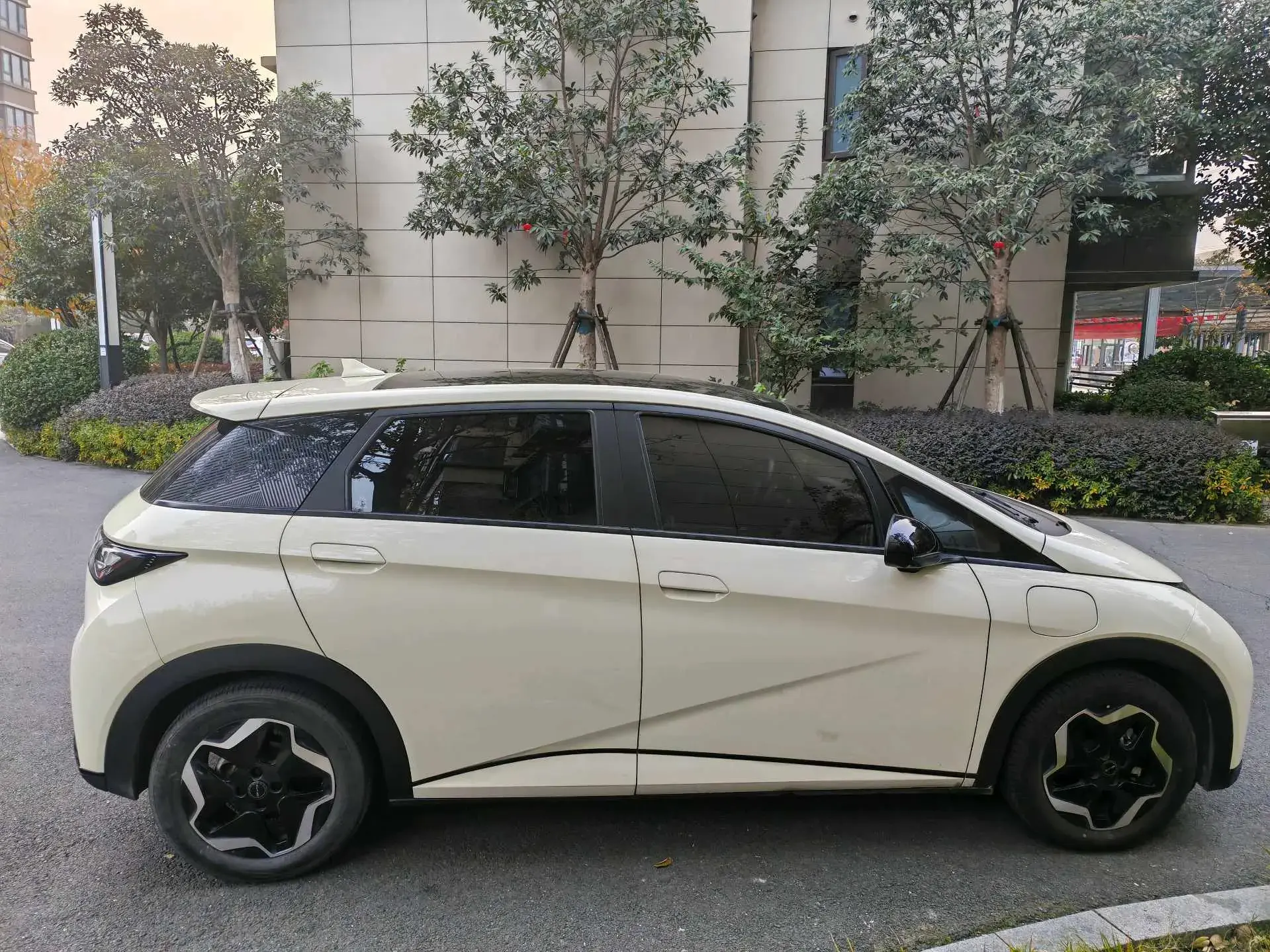 2021 BYD DOLPHIN thumbnail 4