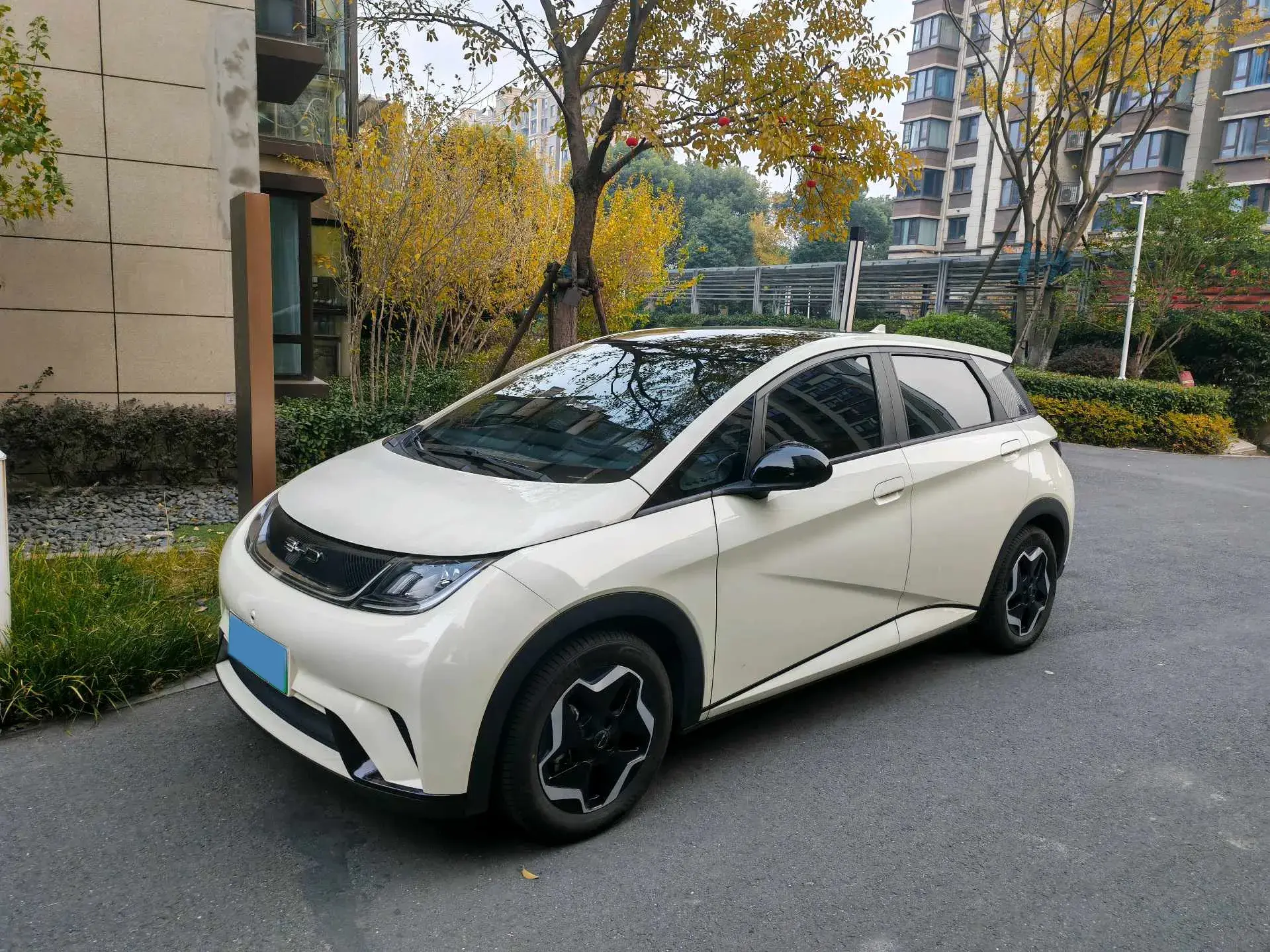 2021 BYD DOLPHIN view 1