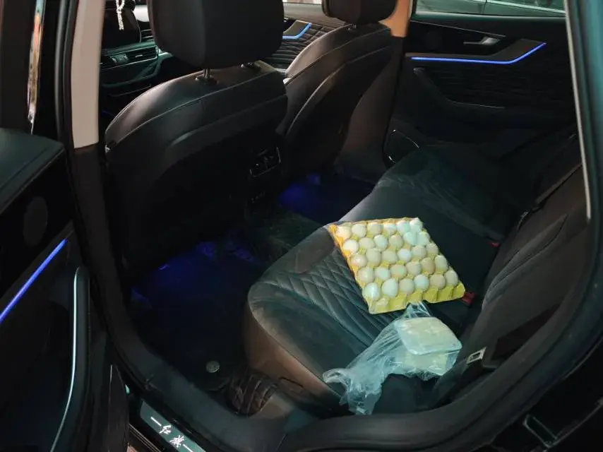 2022 HONGQI HS5 thumbnail 3